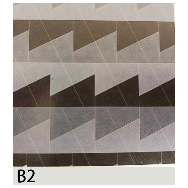 B2樣品圖.png
